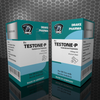 testone-p2