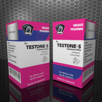 testone-s2